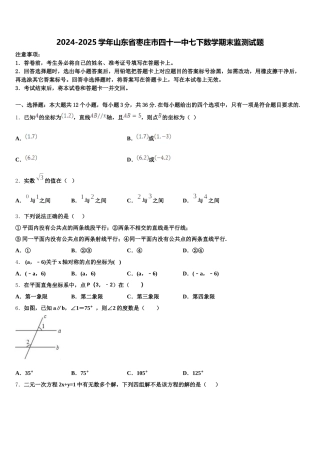 2024-2025学年山东省枣庄市四十一中七下数学期末监测试题含解析