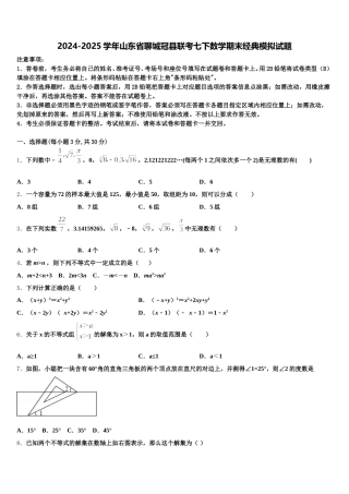 2024-2025学年山东省聊城冠县联考七下数学期末经典模拟试题含解析