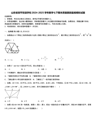 山东省邹平双语学校2024-2025学年数学七下期末质量跟踪监视模拟试题含解析