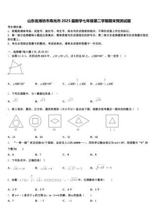 山东省潍坊市寿光市2025届数学七年级第二学期期末预测试题含解析