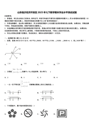 山东临沂经济开发区2025年七下数学期末学业水平测试试题含解析