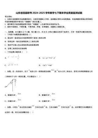 山东省冠县联考2024-2025学年数学七下期末学业质量监测试题含解析