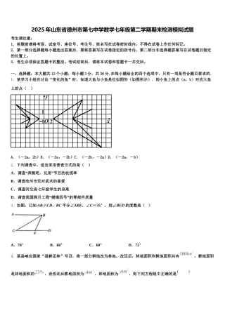 2025年山东省德州市第七中学数学七年级第二学期期末检测模拟试题含解析
