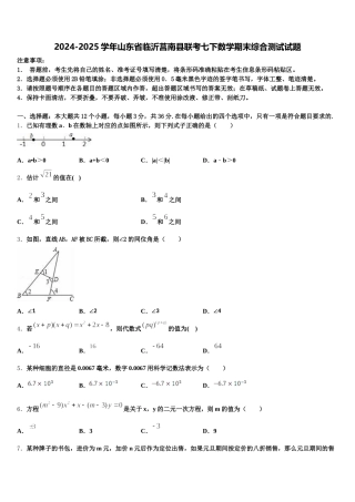 2024-2025学年山东省临沂莒南县联考七下数学期末综合测试试题含解析