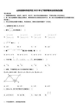 山东省德州市经开区2025年七下数学期末达标测试试题含解析