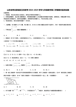 山东省枣庄薛城区五校联考2024-2025学年七年级数学第二学期期末监测试题含解析