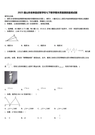 2025届山东省单县启智学校七下数学期末质量跟踪监视试题含解析