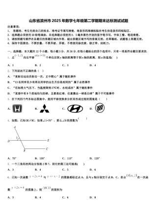 山东省滨州市2025年数学七年级第二学期期末达标测试试题含解析