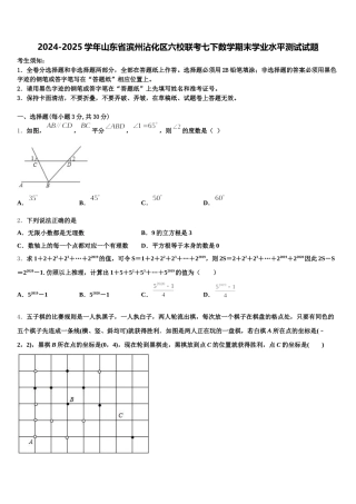 2024-2025学年山东省滨州沾化区六校联考七下数学期末学业水平测试试题含解析