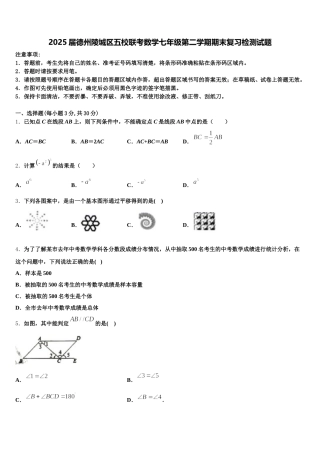2025届德州陵城区五校联考数学七年级第二学期期末复习检测试题含解析