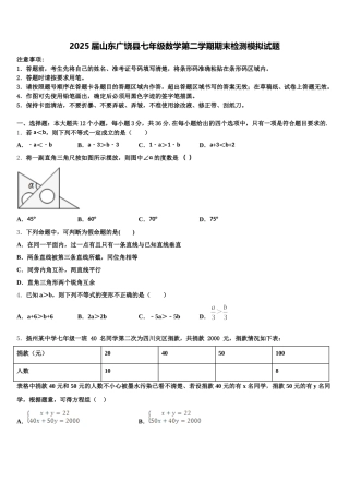 2025届山东广饶县七年级数学第二学期期末检测模拟试题含解析