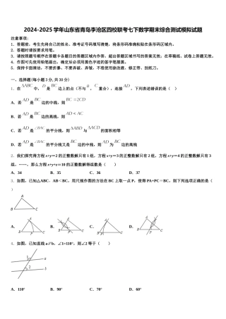 2024-2025学年山东省青岛李沧区四校联考七下数学期末综合测试模拟试题含解析