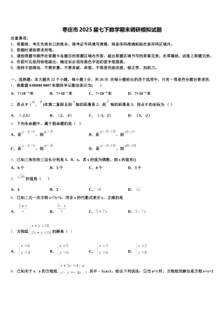 枣庄市2025届七下数学期末调研模拟试题含解析