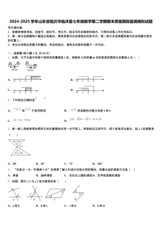 2024-2025学年山东省临沂市临沭县七年级数学第二学期期末质量跟踪监视模拟试题含解析