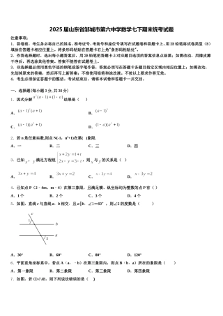 2025届山东省邹城市第六中学数学七下期末统考试题含解析