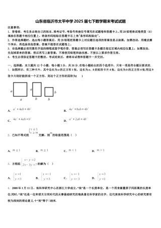 山东省临沂市太平中学2025届七下数学期末考试试题含解析