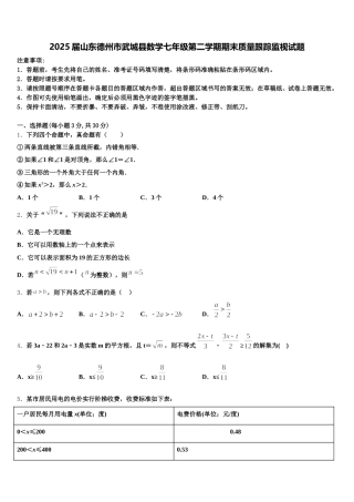 2025届山东德州市武城县数学七年级第二学期期末质量跟踪监视试题含解析