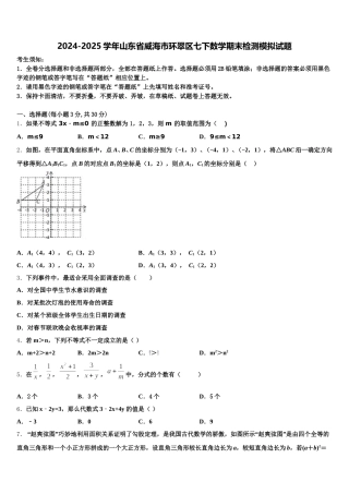 2024-2025学年山东省威海市环翠区七下数学期末检测模拟试题含解析