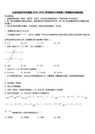 山东省滨州市无棣县2024-2025学年数学七年级第二学期期末经典试题含解析