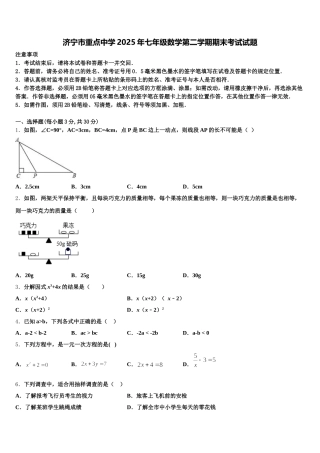 济宁市重点中学2025年七年级数学第二学期期末考试试题含解析