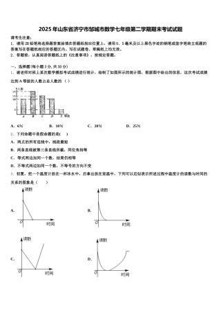 2025年山东省济宁市邹城市数学七年级第二学期期末考试试题含解析