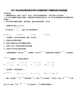2025年山东省济南市重点中学七年级数学第二学期期末复习检测试题含解析
