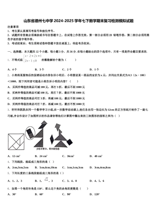 山东省德州七中学2024-2025学年七下数学期末复习检测模拟试题含解析
