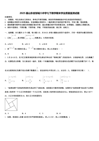 2025届山东省邹城八中学七下数学期末学业质量监测试题含解析