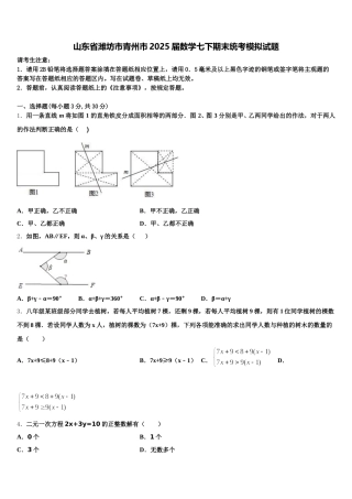 山东省潍坊市青州市2025届数学七下期末统考模拟试题含解析