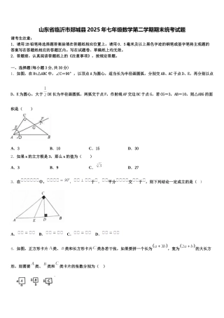 山东省临沂市郯城县2025年七年级数学第二学期期末统考试题含解析