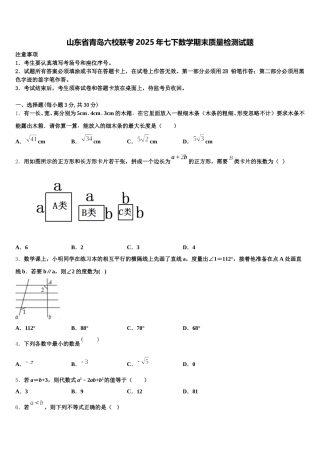 山东省青岛六校联考2025年七下数学期末质量检测试题含解析
