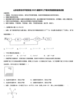 山东省青岛市平度实验2025届数学七下期末质量跟踪监视试题含解析