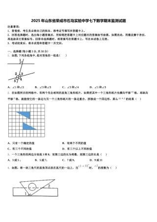 2025年山东省荣成市石岛实验中学七下数学期末监测试题含解析