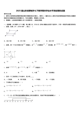 2025届山东省聊城市七下数学期末学业水平测试模拟试题含解析