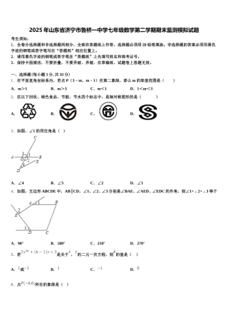 2025年山东省济宁市鲁桥一中学七年级数学第二学期期末监测模拟试题含解析