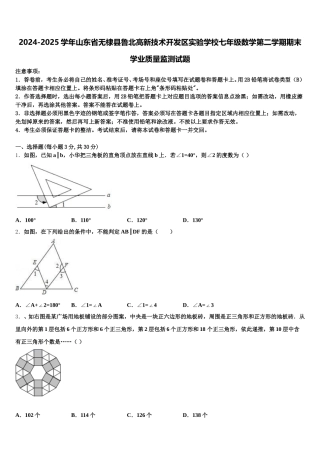 2024-2025学年山东省无棣县鲁北高新技术开发区实验学校七年级数学第二学期期末学业质量监测试题含解析