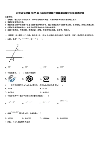 山东省无棣县2025年七年级数学第二学期期末学业水平测试试题含解析