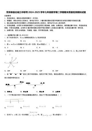 菏泽单县北城三中联考2024-2025学年七年级数学第二学期期末质量检测模拟试题含解析