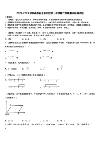 2024-2025学年山东省金乡市数学七年级第二学期期末经典试题含解析