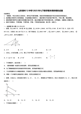 山东德州12中学2025年七下数学期末调研模拟试题含解析