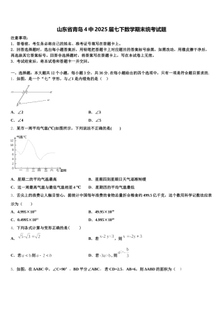 山东省青岛4中2025届七下数学期末统考试题含解析