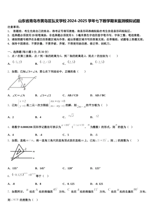 山东省青岛市黄岛区弘文学校2024-2025学年七下数学期末监测模拟试题含解析