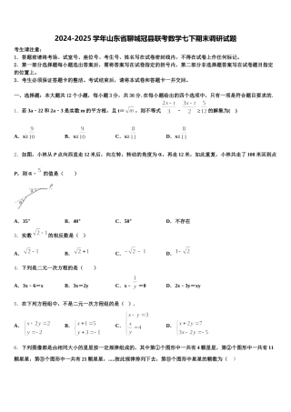 2024-2025学年山东省聊城冠县联考数学七下期末调研试题含解析