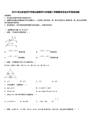 2025年山东省济宁市微山县数学七年级第二学期期末学业水平测试试题含解析