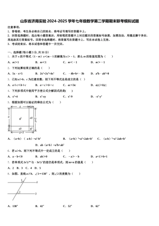 山东省济南实验2024-2025学年七年级数学第二学期期末联考模拟试题含解析