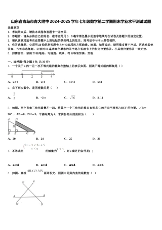 山东省青岛市青大附中2024-2025学年七年级数学第二学期期末学业水平测试试题含解析