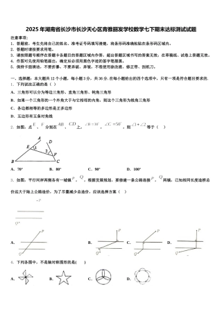 2025年湖南省长沙市长沙天心区青雅丽发学校数学七下期末达标测试试题含解析