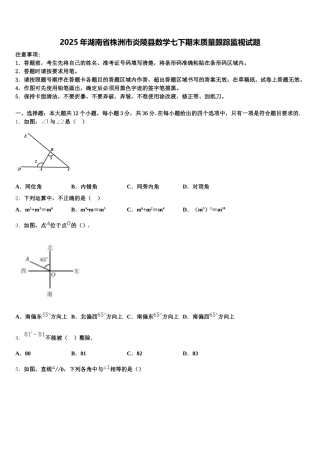 2025年湖南省株洲市炎陵县数学七下期末质量跟踪监视试题含解析