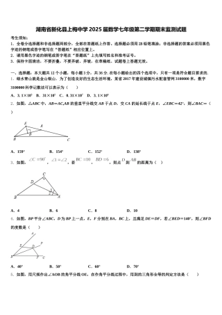 湖南省新化县上梅中学2025届数学七年级第二学期期末监测试题含解析