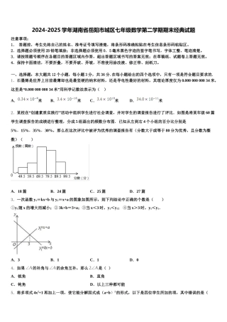 2024-2025学年湖南省岳阳市城区七年级数学第二学期期末经典试题含解析